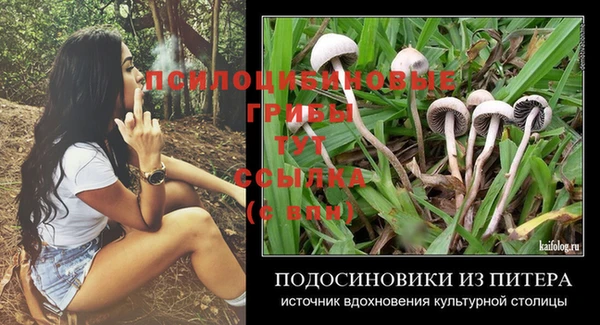 Альфа ПВП Алексеевка